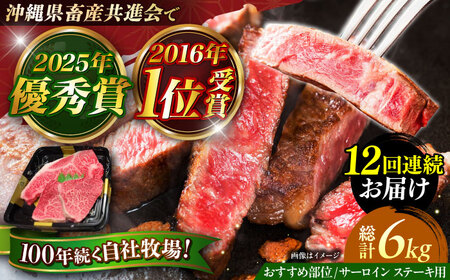 サーロインステーキ 【全12回定期便】【数量限定】沖縄和牛 佐渡山牛 サーロイン＆希少部位 ステーキ肉 500g  BCBC016 牛肉