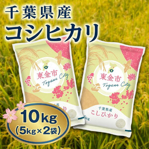 【令和7年産】千葉県産 コシヒカリ 10kg（5kg×2袋） 東金 米 お米