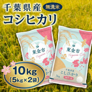 【令和7年産】千葉県産 コシヒカリ 10kg 無洗米（5kg×2袋） 東金 米 米