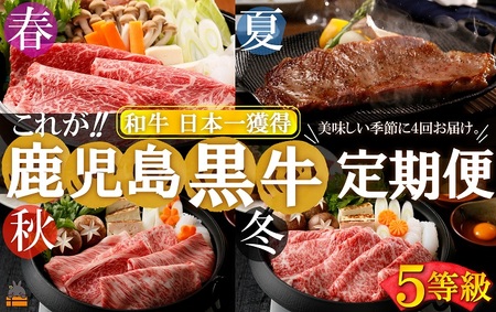 《和牛日本一獲得》5等級 これが!!鹿児島黒牛定期便 （年間4回お届け） ( 5等級 黒牛 黒毛和牛 牛肉 鹿児島 日本一 全国和牛能力共進会 徳之島 奄美 鹿児島 ステーキ すき焼き 定期便 ウデスライス サーロイン カタロース リブロース JA食肉かごしま )