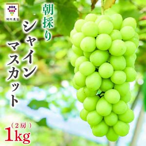 シャインマスカット 約1kg 2房 ＜出荷時期：2026年8月下旬～9月下旬頃＞ ぶどう 葡萄