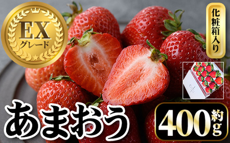 ＜先行予約受付中・数量限定＞2027年2月からお届け！プレミアムあまおうEX 化粧箱入り(約400g) 苺 いちご あまおう イチゴ フルーツ 果物 くだもの 手作り スイーツ ギフト 贈答 数量限定 冷蔵 ＜離島配送不可＞【ksg1675】【THE FARM_strawberry】