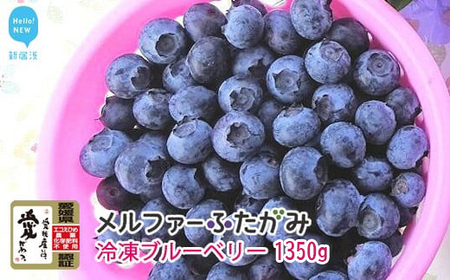 完熟ブルーベリー1350g（冷凍） 毎年人気の冷凍ブルーベリーです メルファーふたがみ