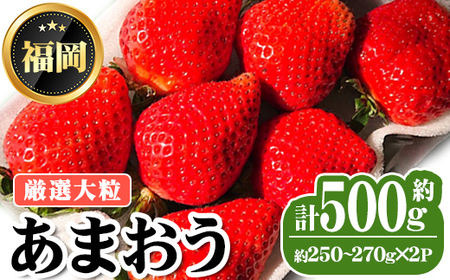 ＜先行予約受付中・数量限定＞2027年2月上旬から順次お届け！厳選大粒あまおう(計約500g・約250～270g×2P) 苺 いちご イチゴ フルーツ 果物 くだもの 手作り スイーツ 冷蔵 ＜離島配送不可＞【ksg1677】【THE FARM_strawberry】