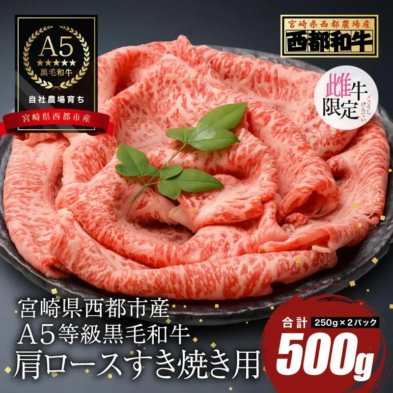 【最高品質のA5等級 西都和牛】黒毛和牛肩ローススライス500g （250g×2）オレイン酸含有率55%以上 すき焼き 焼きしゃぶ 小分け 宮崎県産 カミチクファーム＜62-2a＞★