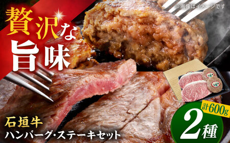 ハンバーグ 沖縄県産 石垣牛 ハンバーグ・ステーキセット 計600g  BCAZ005 肉