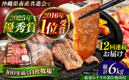 牛肉 焼肉 【全12回定期便】【厳選！おすすめ部位】沖縄和牛 佐渡山牛 焼肉用 500g  BCBC013