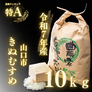 D405 農家直送！山口市産「きぬむすめ」精米10kg