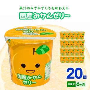 【6ヶ月定期便】愛知ヨーク　国産みかんゼリー　20個入［108A04-T］