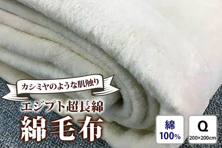 エジプト超長綿 綿毛布 クイーン 200×200cm C555Q ナチュラル系 [4580]