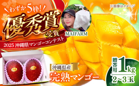 【先行予約】マンゴー 完熟 贈答用 1kg (2-3玉)  沖縄 BCAN001