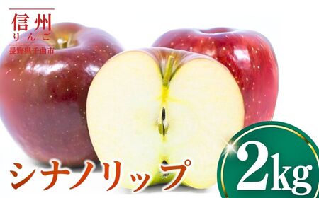 【2026年先行予約】りんご シナノリップ2kg ｜ りんご