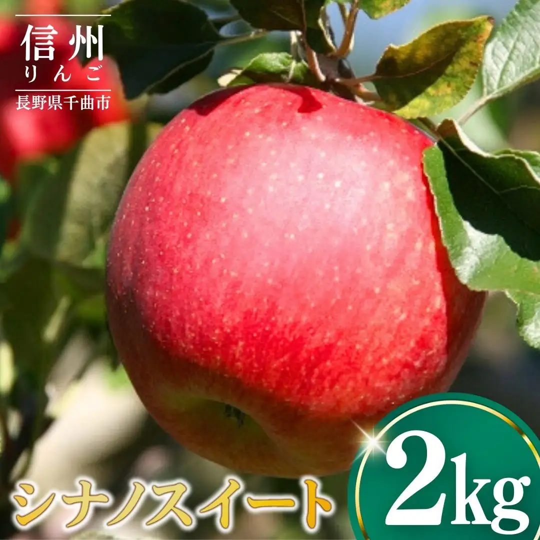 【2026年先行予約】りんご シナノスイート2kg |りんご シナノスイート
