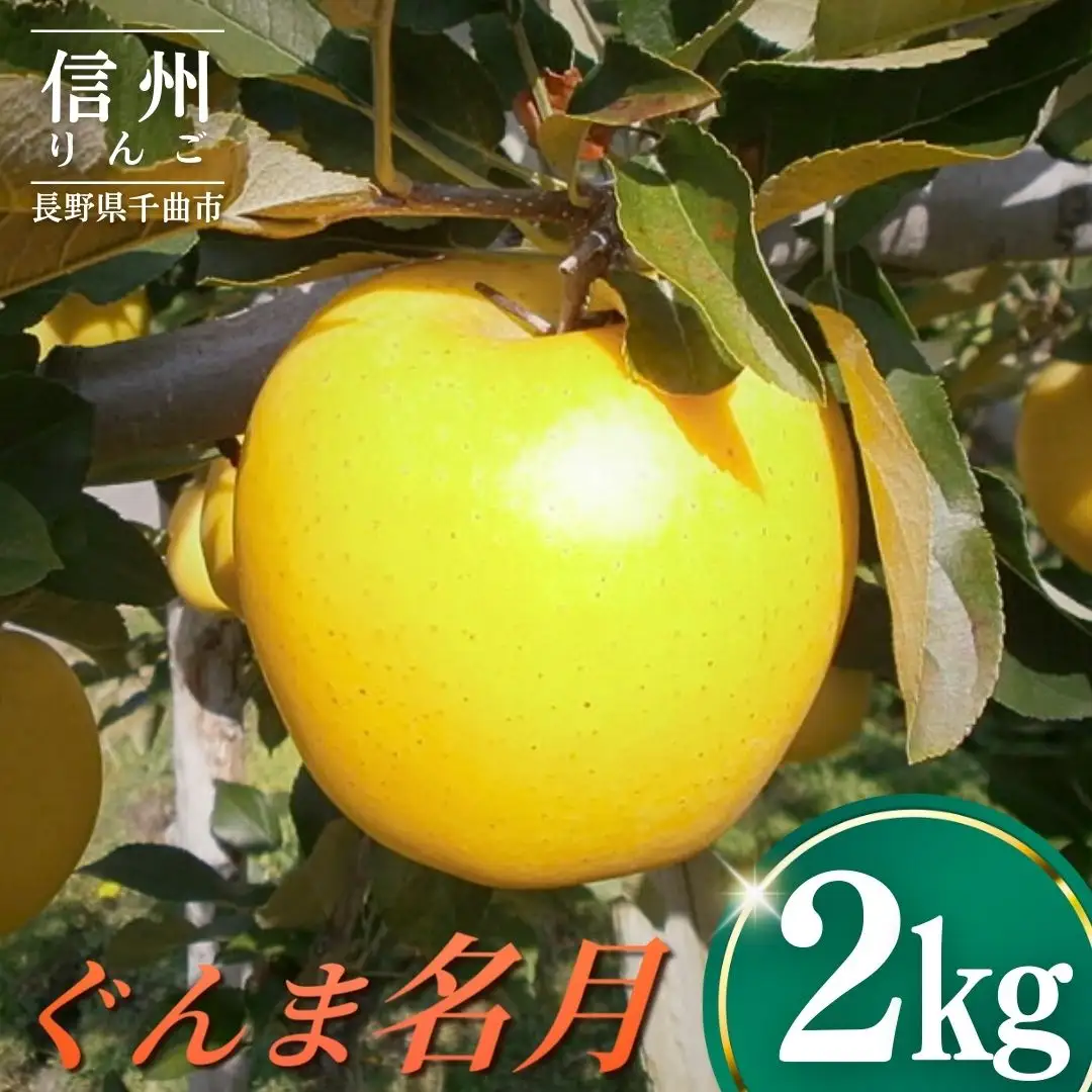 【2026年先行予約】りんご ぐんま名月2kg |りんご ぐんま名月