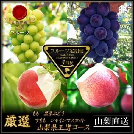 【発送月固定定期便】フルーツ定期便全4回【配送不可地域：離島】【4066761】