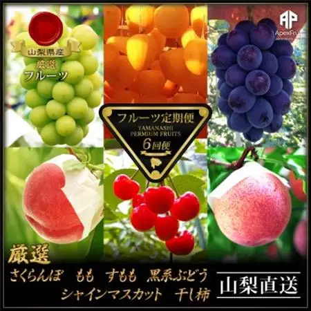 【発送月固定定期便】フルーツ定期便全6回【配送不可地域：離島】【4066764】