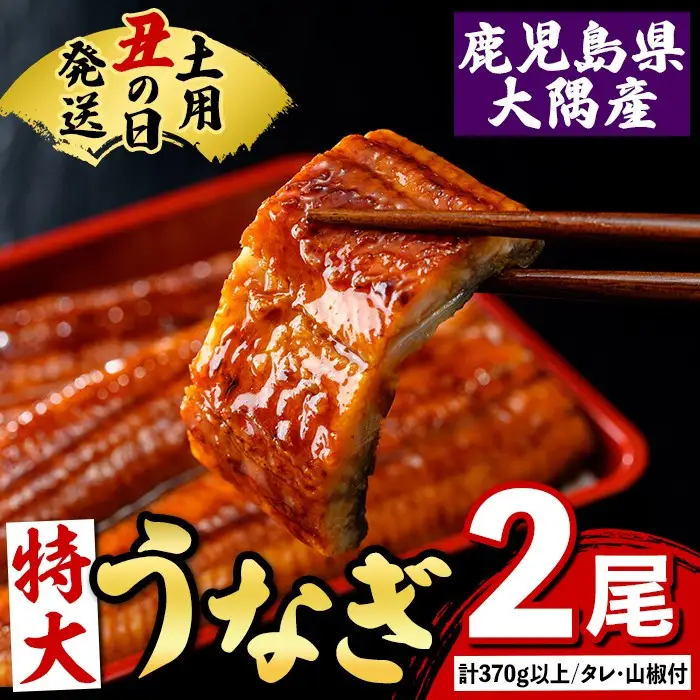 【A57003】土用の丑の日 特大うなぎ 蒲焼 有頭 (2尾 計370g以上 タレ・山椒付) 鹿児島 国産 大隅産 鰻 蒲焼き【一般社団法人きもつき宇宙協議会】