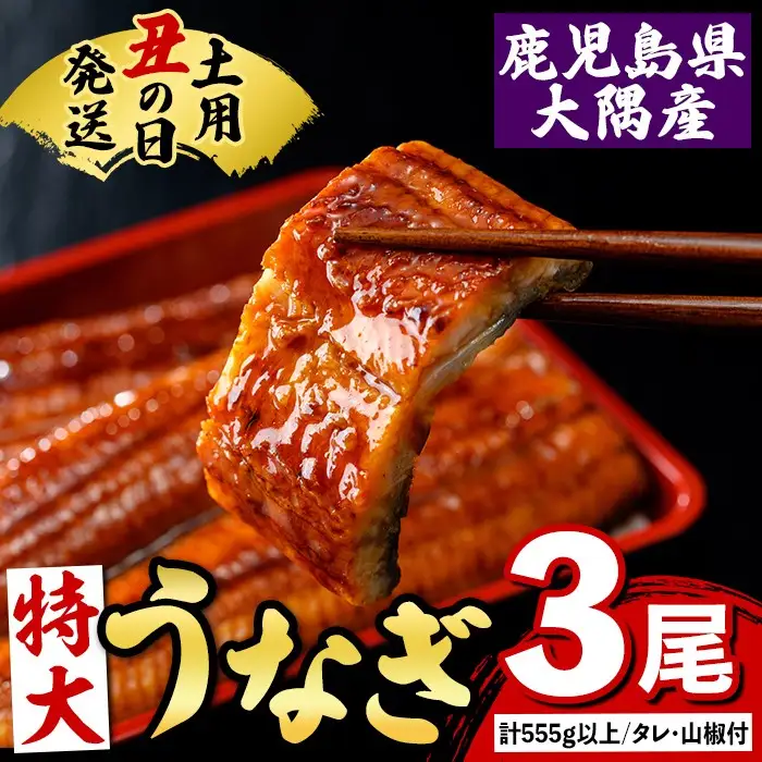【B57003】土用の丑の日 特大うなぎ 蒲焼 有頭 (3尾 計555g以上 タレ・山椒付) 国産 大隅産 鰻 蒲焼き【一般社団法人きもつき宇宙協議会】