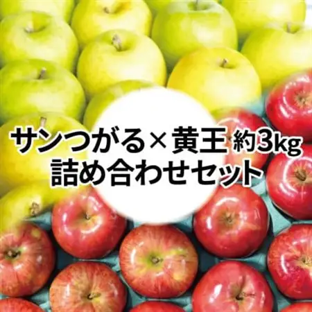 【26年8月下旬より順次発送】糖度12度以上保証! 黄王×サンつがる 約3kg 訳あり クール便_果物・フルーツ りんご  リンゴ 林檎_【配送不可地域：離島・沖縄県】【1613853】
