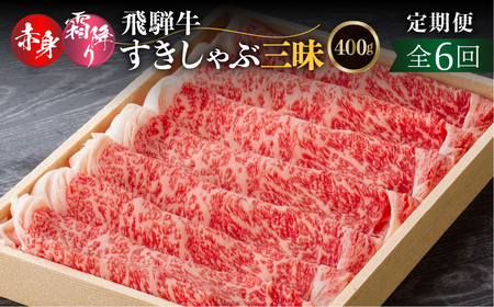 【定期便】全6回 飛騨牛すきしゃぶ三昧 定期便 [S930]