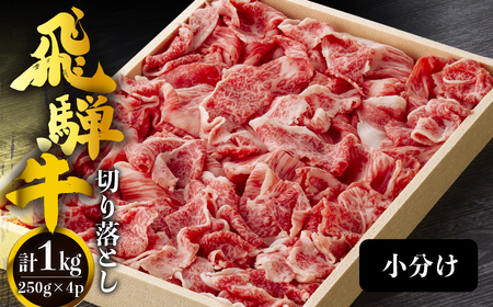 飛騨牛 牛肉 切り落とし 1kg 小分け（250g×4p）  [s933] 切り落とし