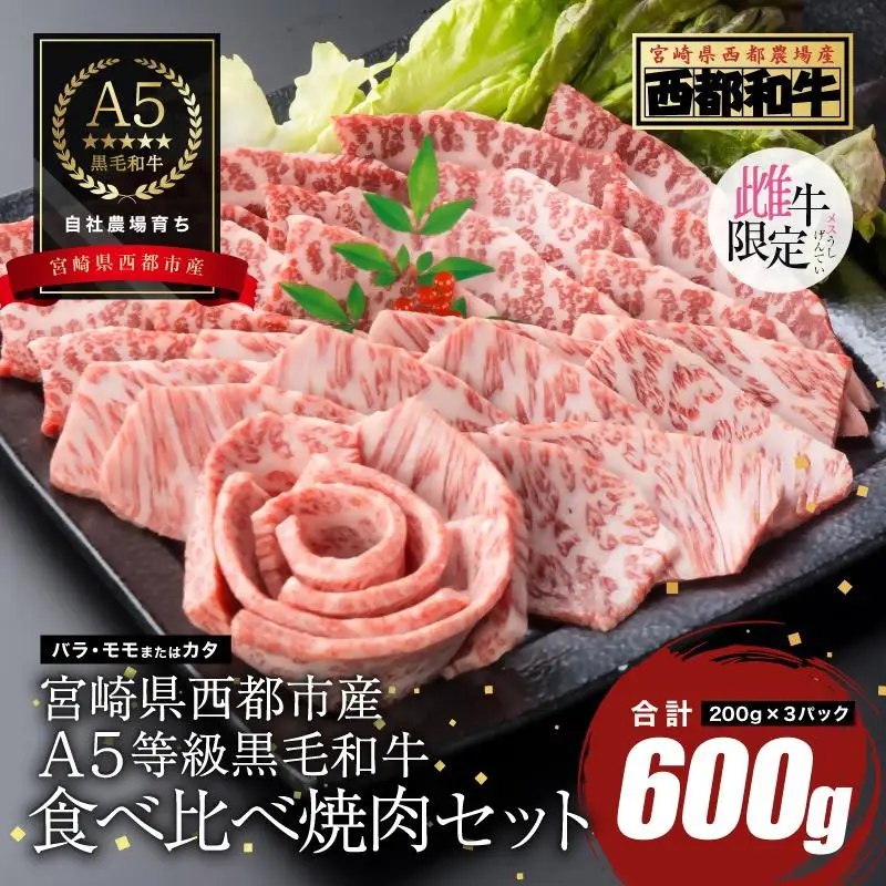 【最高品質のA5等級 雌牛限定 西都和牛】黒毛和牛食べ比べ焼肉セット 600g（200ｇ×3）オレイン酸含有率55%以上 赤身・カルビ 小分け 宮崎県産 カミチクファーム＜62-6a＞
