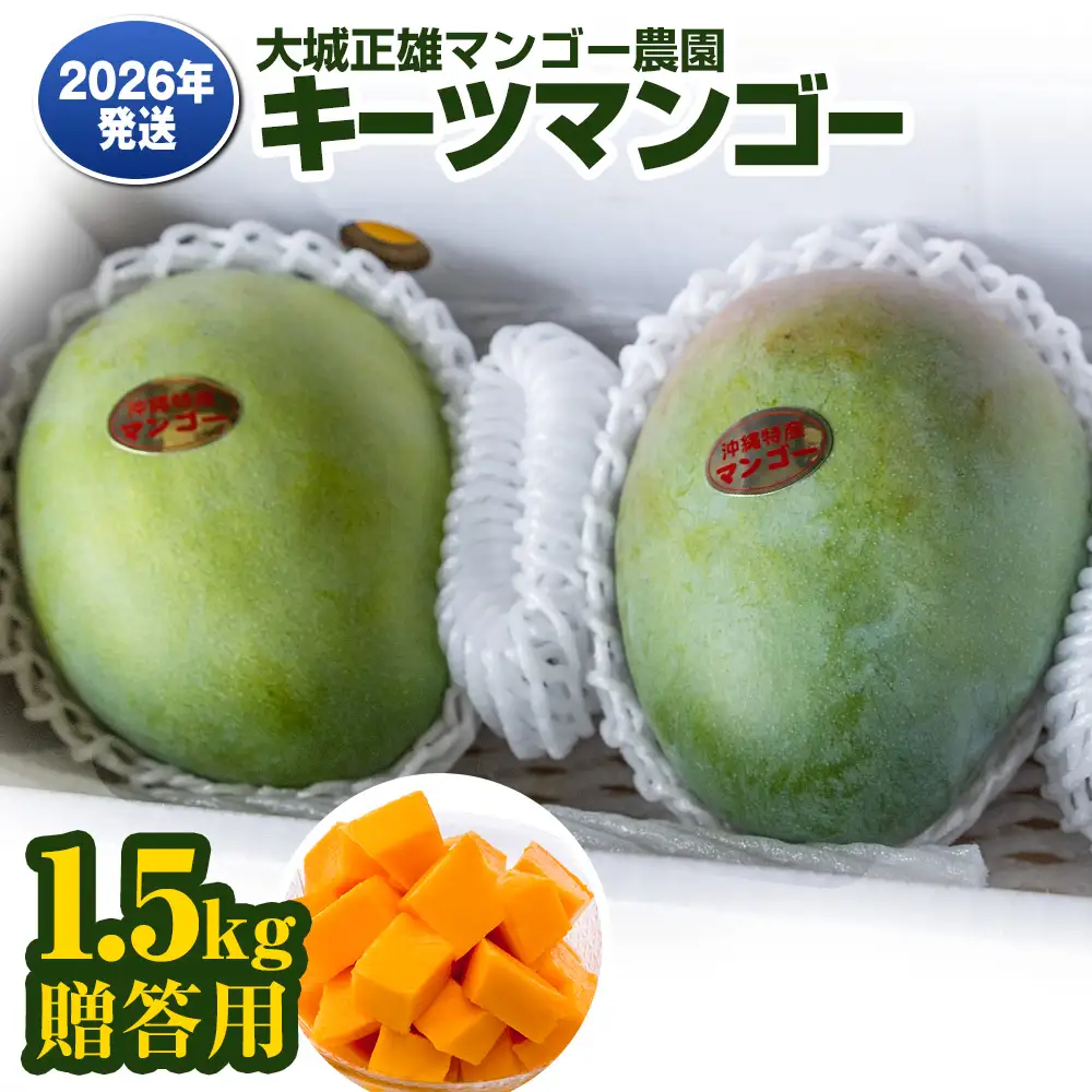 【2026年発送】大城正雄マンゴー農園　キーツマンゴー　贈答用1.5kg