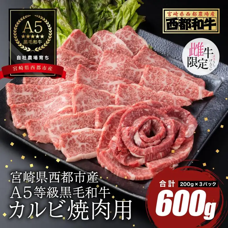 【最高品質のA5等級 西都和牛】黒毛和牛カルビ焼肉600gオレイン酸含有率55%以上 小分け カミチクファーム＜62-7a＞