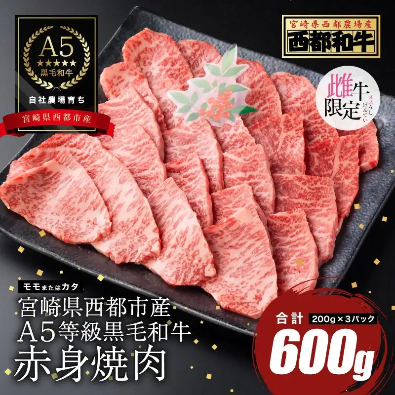 【最高品質のA5等級 西都和牛】黒毛和牛赤身焼肉 600g（200g×3） オレイン酸含有率55%以上カミチクファーム＜62-4a＞
