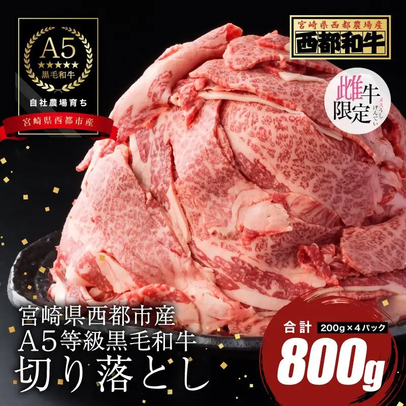 【最高品質のA5等級 西都和牛】黒毛和牛切り落とし 800g（200ｇ×4）オレイン酸含有率55%以上 小分け カミチクファーム＜62-1a＞★
