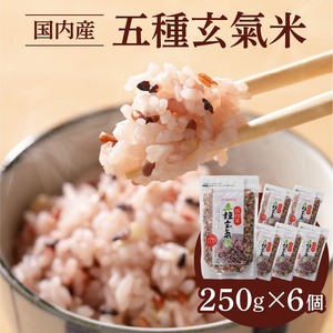 国内産 五種玄氣米 250g×6個 計1500g_国内産 五種玄氣米 250g×6個 お届け回数 1回 玄米 ブレンド 雑穀米 もち赤米 うるち玄米 もち玄米 もち黒米 もち緑米 プチプチ もちもち 混ぜて炊くだけ 冷めても美味しい 主食 おにぎり 弁当 食卓 華やか 福岡県 久留米市 送料無料 〔Gr010〕