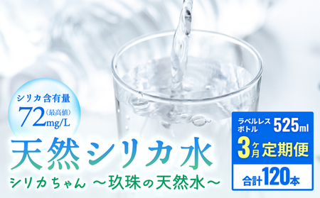 【数量限定】【12ヶ月定期便】天然水 シリカ 525ml × 40本 ＜シリカちゃん〜玖珠の天然水〜＞    水 水 500ml 500ml 天然水 天然水  ラベルレス 天然シリカ 水 シリカ水 ミネラルウォーター 国産 保存可能 水 防災 備蓄 シリカ水 シリカ水 SDGs