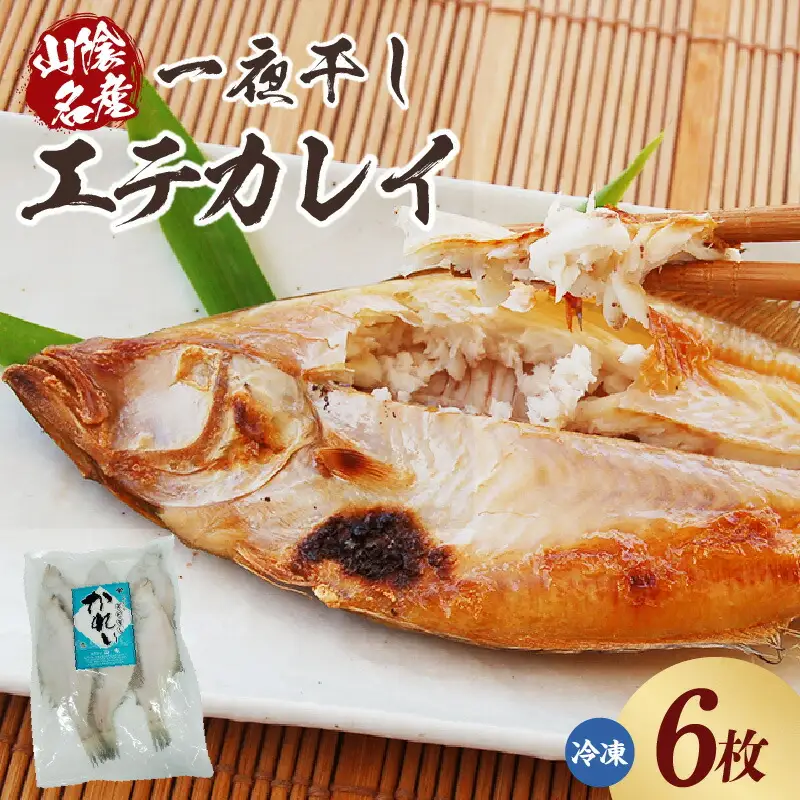 魚 エテカレイ 一夜干し 6枚 干物 下処理不要 74-11
