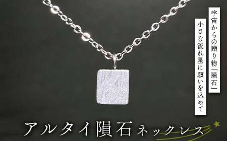 アルタイ隕石のネックレス F7Z-1326