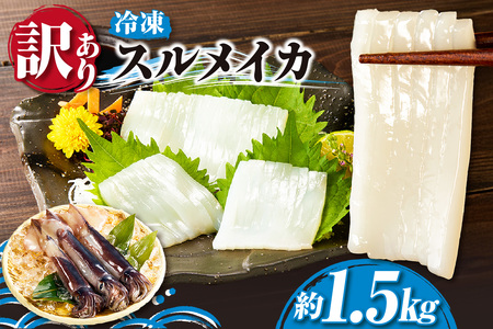 【訳あり】スルメイカ たっぷり 約1.5kg サイズ不揃い 冷凍 いか  74-18