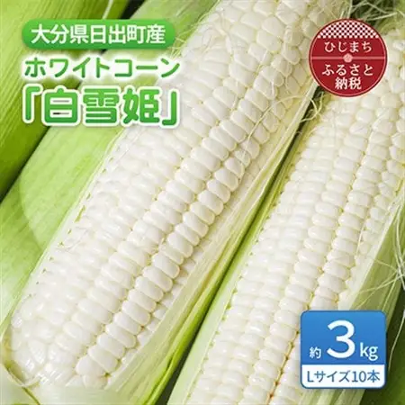 大分県日出町産　ホワイトコーン「白雪姫」_野菜 とうもろこし  トウモロコシ_【配送不可地域：離島】【1615424】