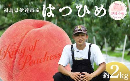 【2026年出荷分先行予約】福島県産 はつひめ 約2kg (6～8玉) KING OF PEACHESS キングオブピーチ 伊達の桃 桃 フルーツ 果物 もも モモ momo F21C-133