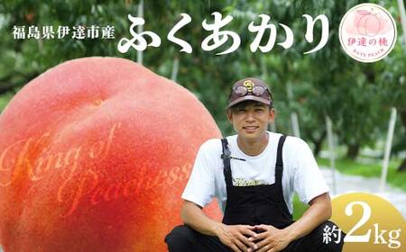 【2026年出荷分先行予約】福島県産 ふくあかり 約2kg (6～8玉) KING OF PEACHESS キングオブピーチ 伊達の桃 桃 フルーツ 果物 もも モモ momo F21C-135