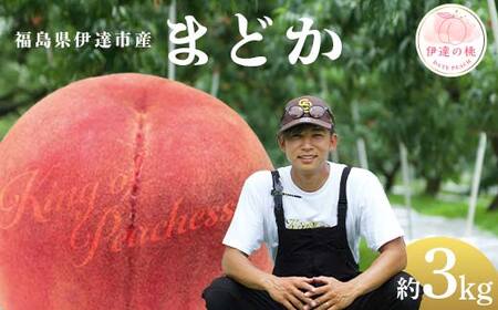 【2026年出荷分先行予約】福島県産 まどか 約3kg (8～12玉) KING OF PEACHESS キングオブピーチ 伊達の桃 桃 フルーツ 果物 もも モモ momo F21C-138