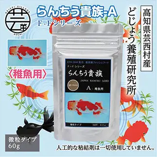 らんちう貴族A 60g 稚魚用 