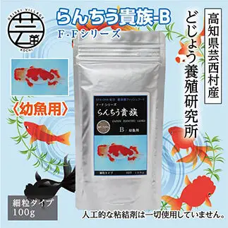 らんちう貴族 B 100g 幼魚用 