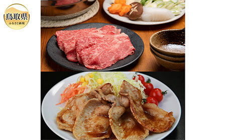 鳥取和牛・大山豚ゴールド食べ比べセット_T2600323
