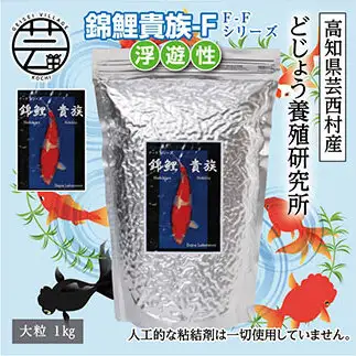 錦鯉貴族 F 1kg 浮遊性 