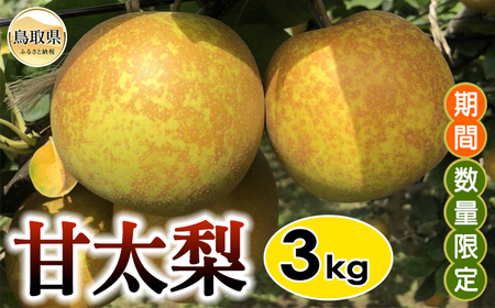 甘太梨　3㎏【期間･数量限定】_T2600345