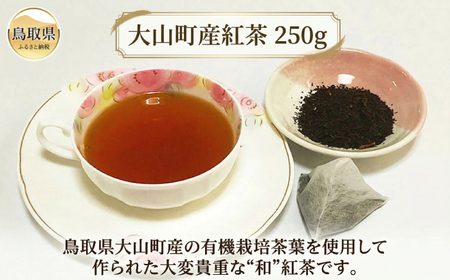 大山町産紅茶 250g_T2600352