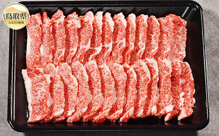 鳥取和牛 焼肉用 カルビ 500g_T2600362