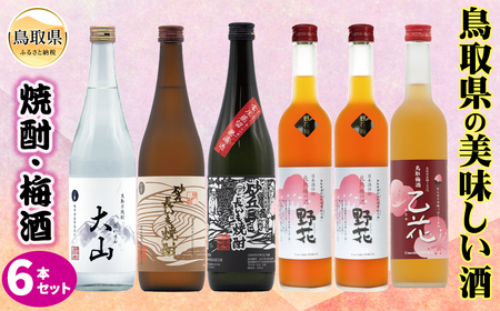 鳥取県の美味しい酒　焼酎・梅酒　6本セット_T2600363