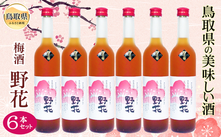 鳥取県の美味しい酒　梅酒　野花（のきょう）6本セット_T2600364