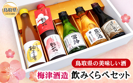 鳥取県の美味しい酒　梅津酒造飲みくらべセット_T2600370