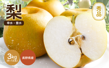 溢れる果汁 ジューシーな 梨 幸水 豊水 秀品 約3kg〈2026年8月下旬～9月中旬発送〉| 長野県 飯田市